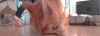 Becky Blow feet photo 19