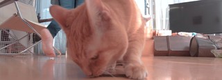 Becky Blow feet photo 18