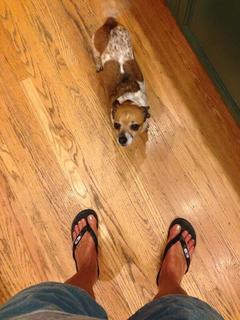Becky Worley feet photo 12