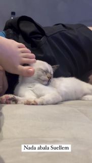 Bela Fernandes feet photo 12