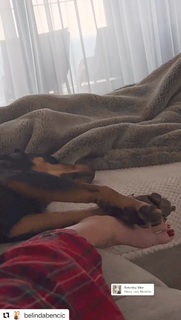 Belinda Bencic feet photo thumbnail