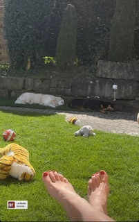 Belinda Bencic feet photo thumbnail