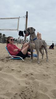 Bella Avila feet photo thumbnail