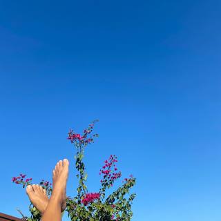 Bella Campos feet photo thumbnail