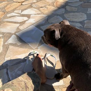 Bella Campos feet photo thumbnail