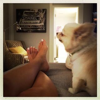 Bella Falconi feet photo thumbnail