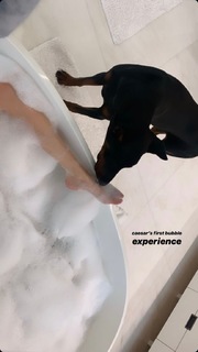 Bella Hadid feet photo thumbnail
