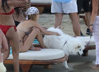Bella Hadid feet photo thumbnail