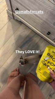 Bella Thorne feet photo 13