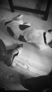 Belén Rodríguez feet photo thumbnail