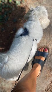 Benedetta Parodi feet photo thumbnail