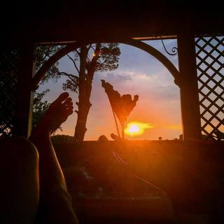 Benedetta Porcaroli feet photo thumbnail
