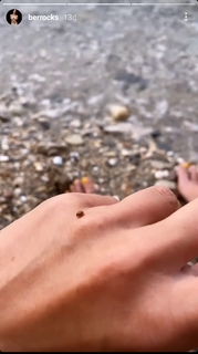 Berrak Tüzünataç feet photo 10