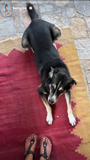Berrak Tüzünataç feet photo 7