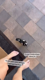 Berticuss feet photo 13