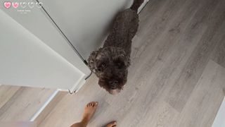 Berticuss feet photo 7