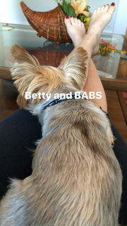 Beth Behrs feet photo thumbnail