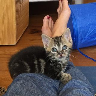 Beth Stern feet photo thumbnail