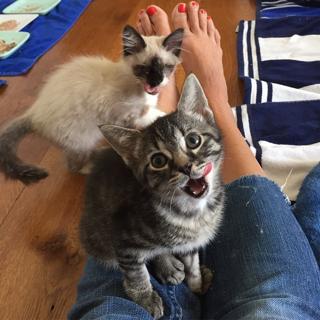 Beth Stern feet photo thumbnail