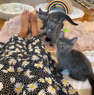 Beth Stern feet photo thumbnail