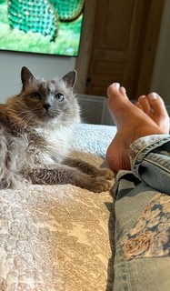 Beth Stern feet photo thumbnail