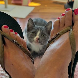 Beth Stern feet photo thumbnail