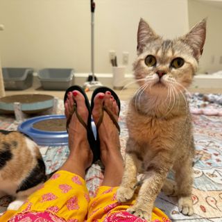 Beth Stern feet photo thumbnail
