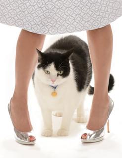 Beth Stern feet photo thumbnail