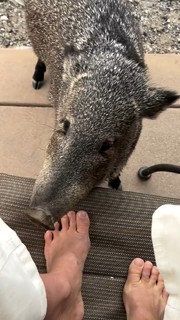 Bethany Hamilton feet photo 9