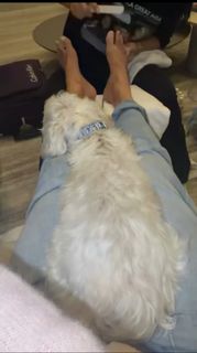 Bethenny Frankel feet photo 8
