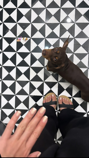 Betsy Alvarez feet photo 14