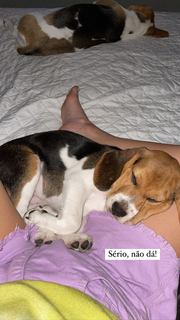 Bettina Rudolph feet photo 9