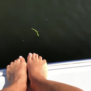 Bettina Zimmermann feet photo thumbnail
