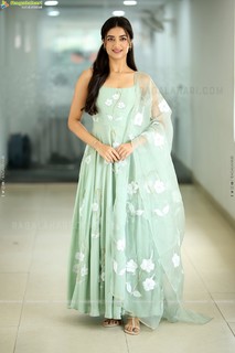 Bhagyashri Borse feet photo 4