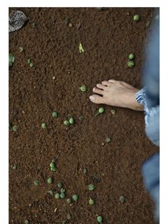 Bhama feet photo 1
