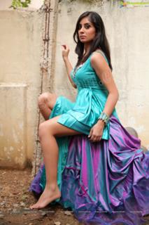 Bhanu Sri Mehra feet photo 12