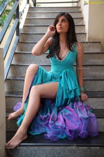 Bhanu Sri Mehra feet photo 15