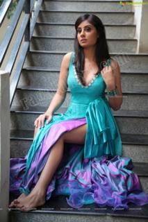 Bhanu Sri Mehra feet photo 2