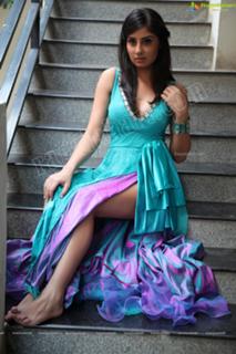 Bhanu Sri Mehra feet photo 20