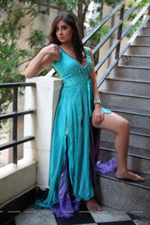 Bhanu Sri Mehra feet photo 6