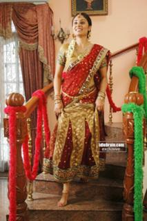 Bhanu Sri Mehra feet photo 15