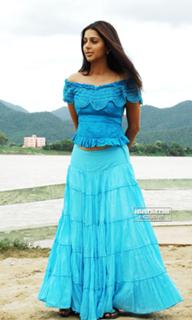 Bhoomika Chawla feet photo 11