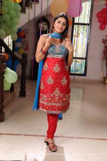 Bhoomika Chawla feet photo 13