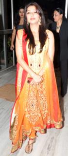 Bhoomika Chawla feet photo 4