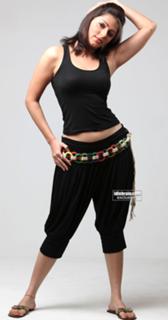 Bhoomika Chawla feet photo 9