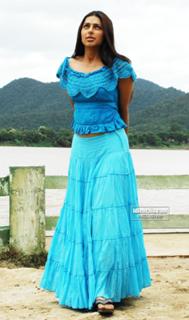 Bhoomika Chawla feet photo 6