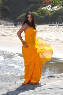 Bhoomika Chawla feet photo 7