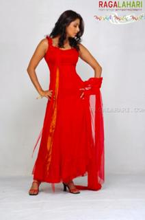 Bhoomika Chawla feet photo 16