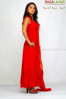 Bhoomika Chawla feet photo 15