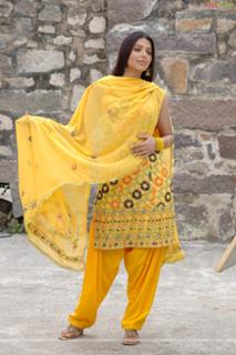 Bhoomika Chawla feet photo 20